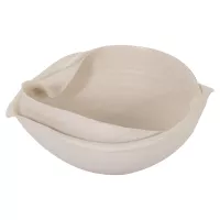 Centro De Mesa Decorativo De Cerâmica Organic Nature I | Maria Pia Casa