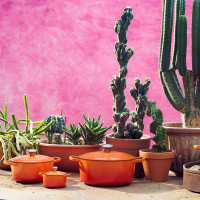 Panela Redonda 18Cm Signature Laranja Le Creuset