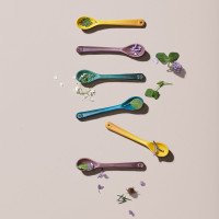 Set 4 Colheres 14Cm Botanique Collection Le Creuset